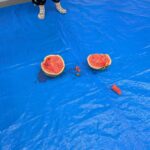 🍉こすもす夏祭り🍉