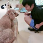 🎵カラオケ＆モフモフ🐶